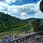 Agritrinacria *