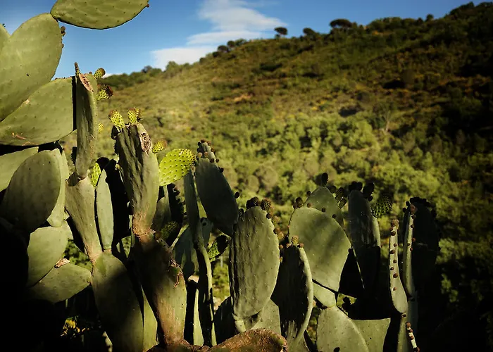 Vakantieboerderij Agritrinacria *
